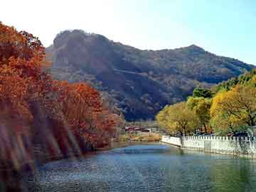 天天彩好彩天天免费，本地山羊养殖技术